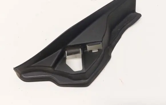 Rear/tail light trim molding