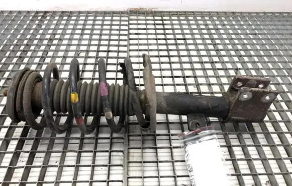 Citroen Berlingo Front shock absorber/damper 9684108680