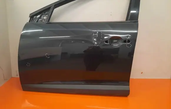Renault Megane III Front door 801115