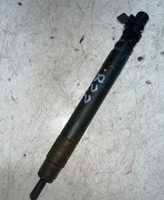 Peugeot 5008 Fuel injector 9686191080