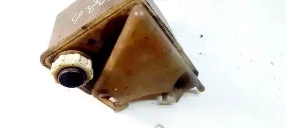 Renault Espace III Coolant expansion tank/reservoir 6025301899