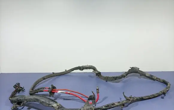 Volvo S90, V90 Other wiring loom 31687011