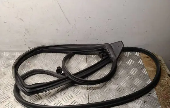 Toyota RAV 4 (XA50) Rubber seal rear door 310BU04