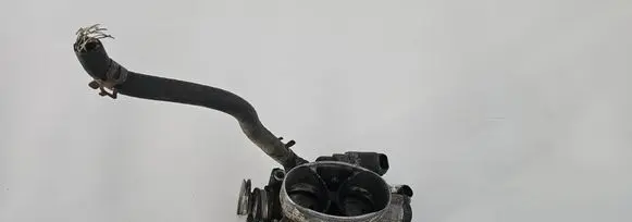 Throttle body valve