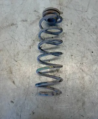 Rear coil spring
