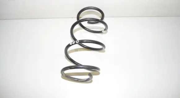 Front coil spring