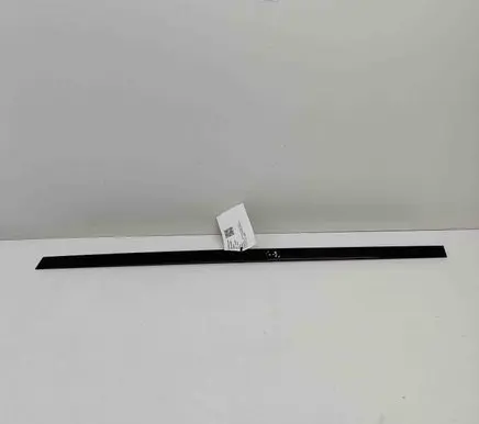 Rear door glass trim molding