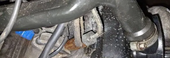 Volkswagen PASSAT B5 Fuel injector 