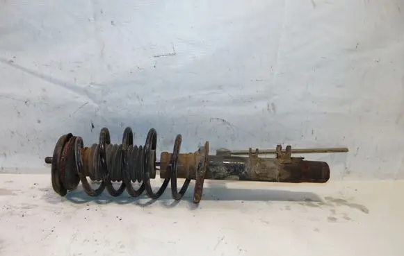 Citroen C3 Front shock absorber with coil spring 5202GW 334828 5002LL