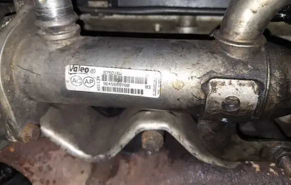 EGR valve cooler