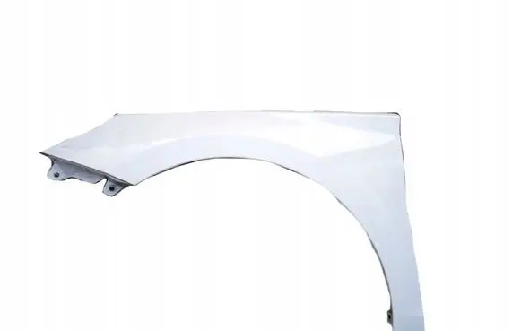 Hyundai i30 Fender BLOTNIK3867