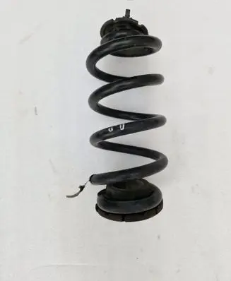 Rear coil spring