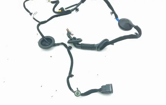 KIA Niro Rear door wiring loom 91620G5020
