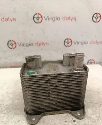 Mercedes-Benz ML W163 Engine oil radiator A6131880101 39193