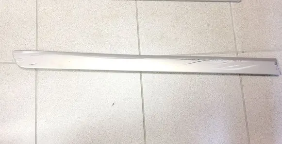 Rear door trim (molding)