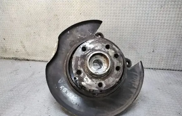 Volkswagen Touareg I Rear wheel hub spindle/knuckle 