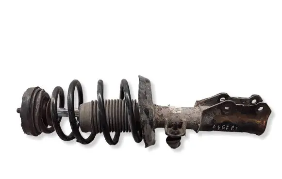 Opel Insignia A Front shock absorber with coil spring 