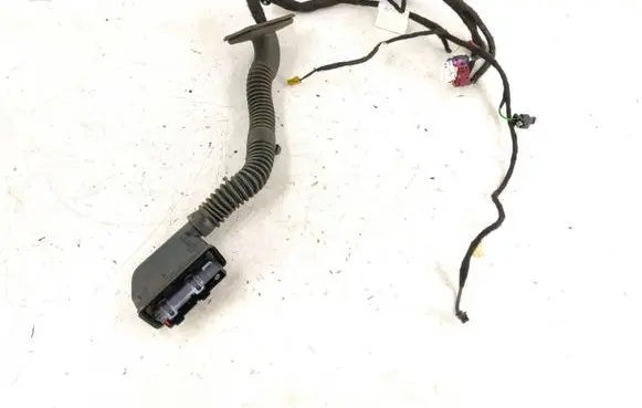Mercedes-Benz S C217 Front door wiring loom 2175402807 A2175402807