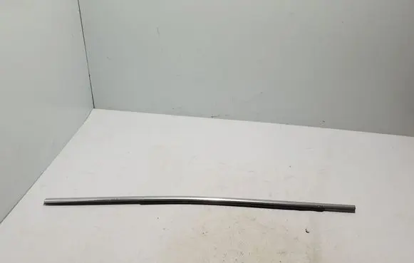 Rear door trim (molding)