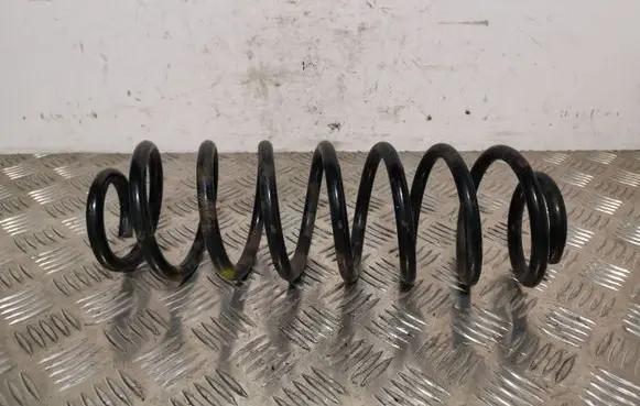 Ford Ecosport Rear coil spring