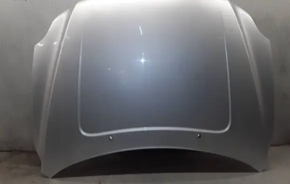 Engine bonnet/hood