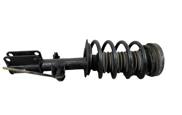 BMW X5 E53 Front shock absorber with coil spring 6754342