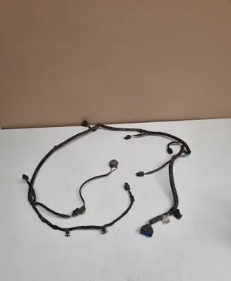 Hyundai Santa Fe Other wiring loom 918802w160