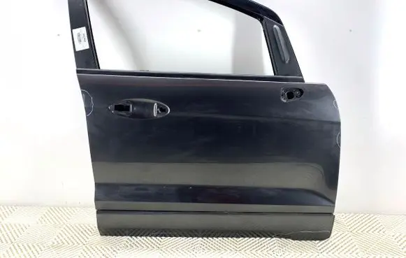 Ford Ecosport Front door 