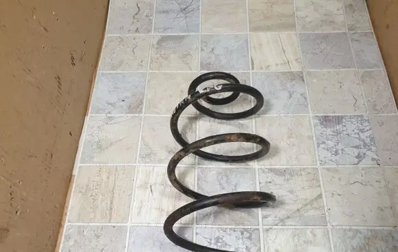 Opel Astra G Rear coil spring