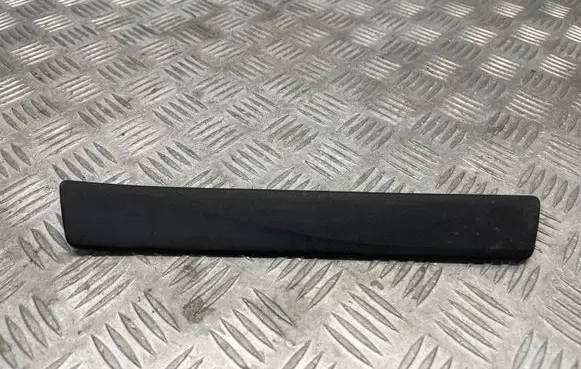 Other front door trim element