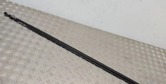 Toyota Prius (XW30) Front door glass trim molding