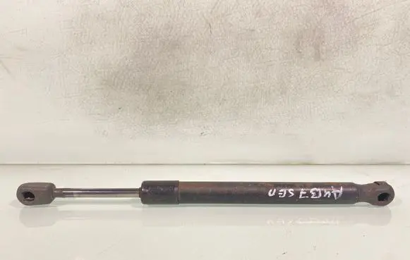 Tailgate/trunk strut/damper