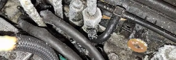 Renault Clio III Fuel injector 