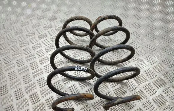 Volkswagen Tiguan Front coil spring