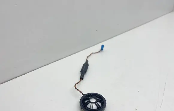 Front door high frequency speaker