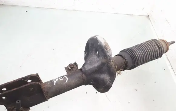 Hyundai Santa Fe Front shock absorber/damper