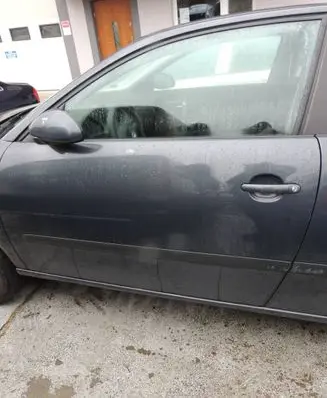 Seat Ibiza III (6L) Front door