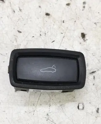 Porsche Macan (95B) Tailgate/trunk/boot open switch 7PP959832H 10002463 SN00001172830290