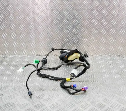 Dodge RAM 1500 DS Front door wiring loom 71844232 16238C0