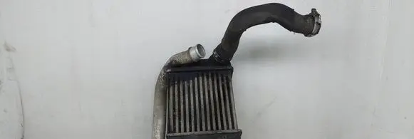 Intercooler radiator