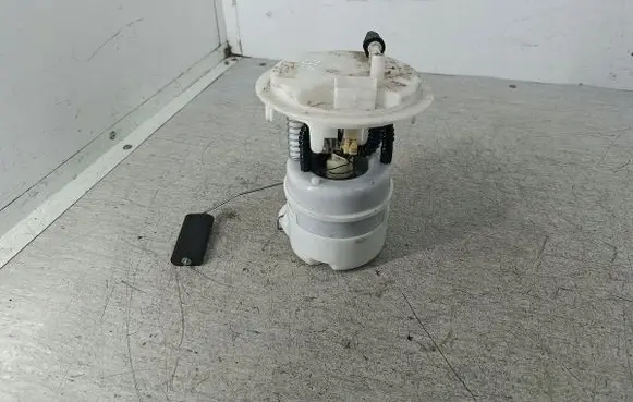 Peugeot 407 In-tank fuel pump 