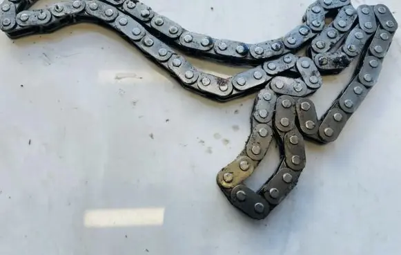 Ford Focus Timing chain (engine) 