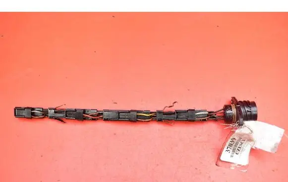 Other wiring loom