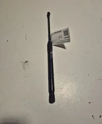 Renault Kadjar Tailgate strut 904516026R