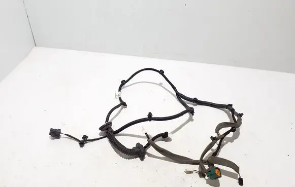 Other wiring loom