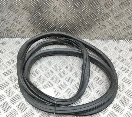 BMW 3 G20 G21 Rubber seal front coupe door 7407373