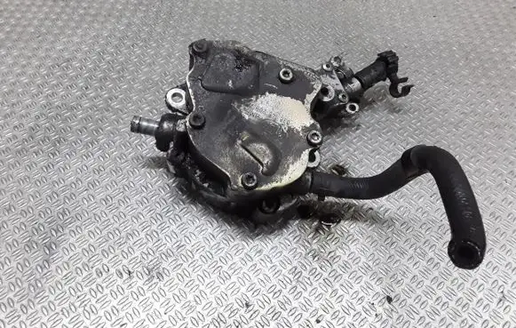 Seat Alhambra (Mk1) Vacuum pump 038145209A