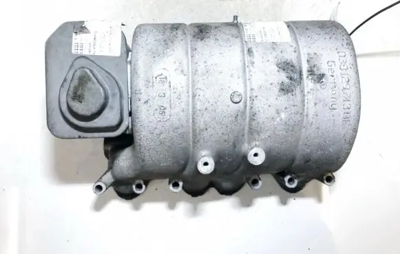 Volkswagen Golf V Intake manifold 038129713be