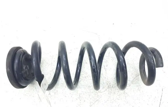 Ford Escape IV Rear coil spring LX615560 LX615560NMD L51912020