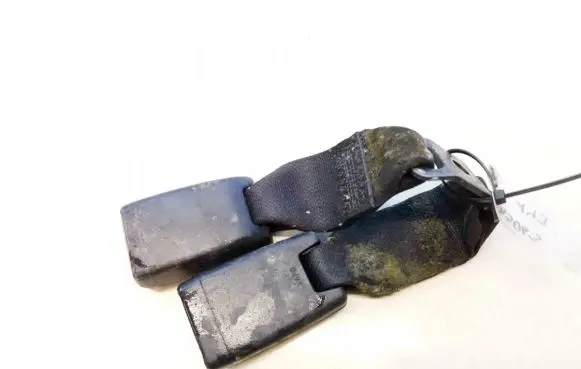 Middle seatbelt buckle (rear)